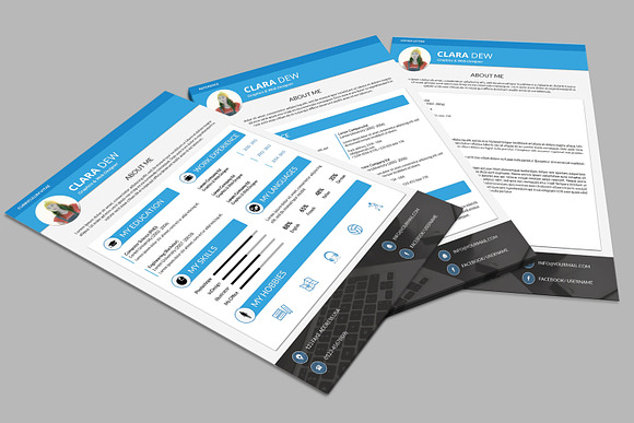 Clean Resume Template-V027 in Resume Templates - product preview 3