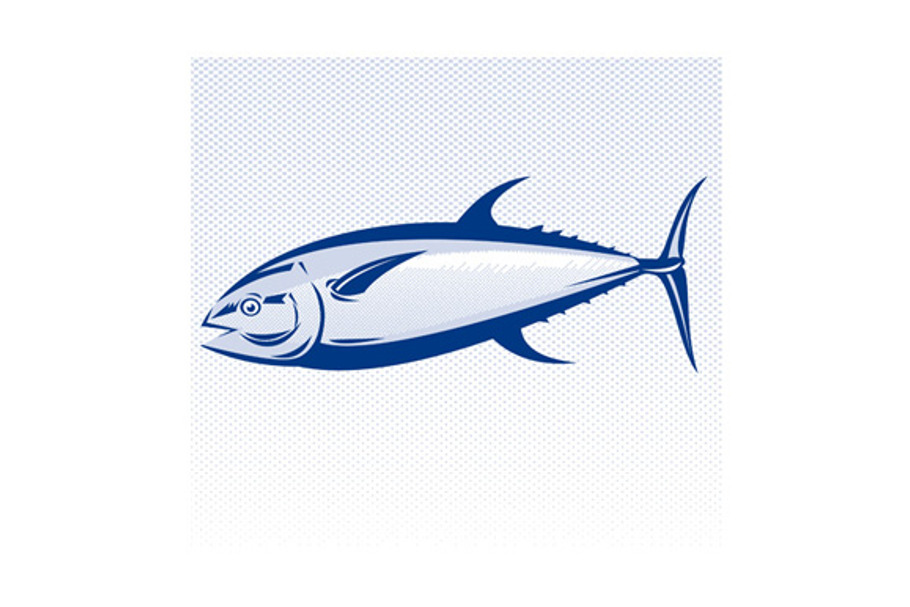 Bluefin Tuna Fish Woodcut
