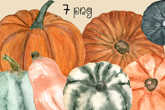 15 Watercolor Pumpkin Clip Art Set in Illustrations - product preview 3