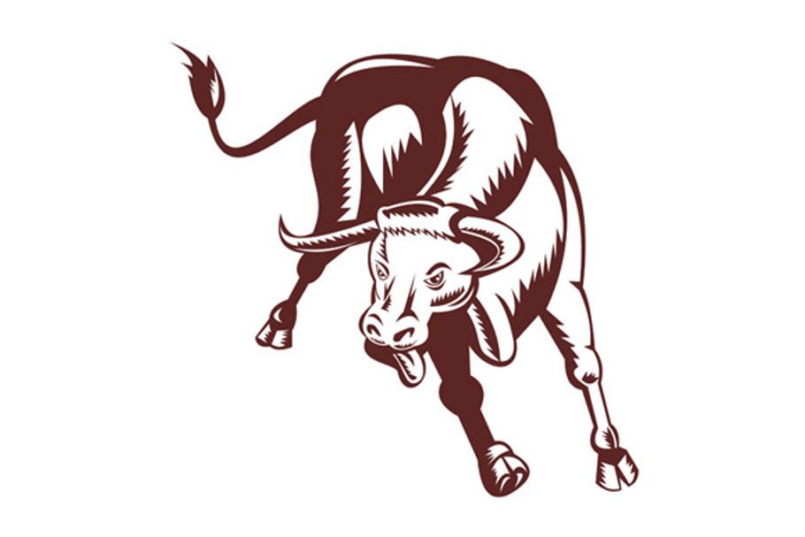 Texas Longhorn Bull Charging in Illustrations - product preview 8