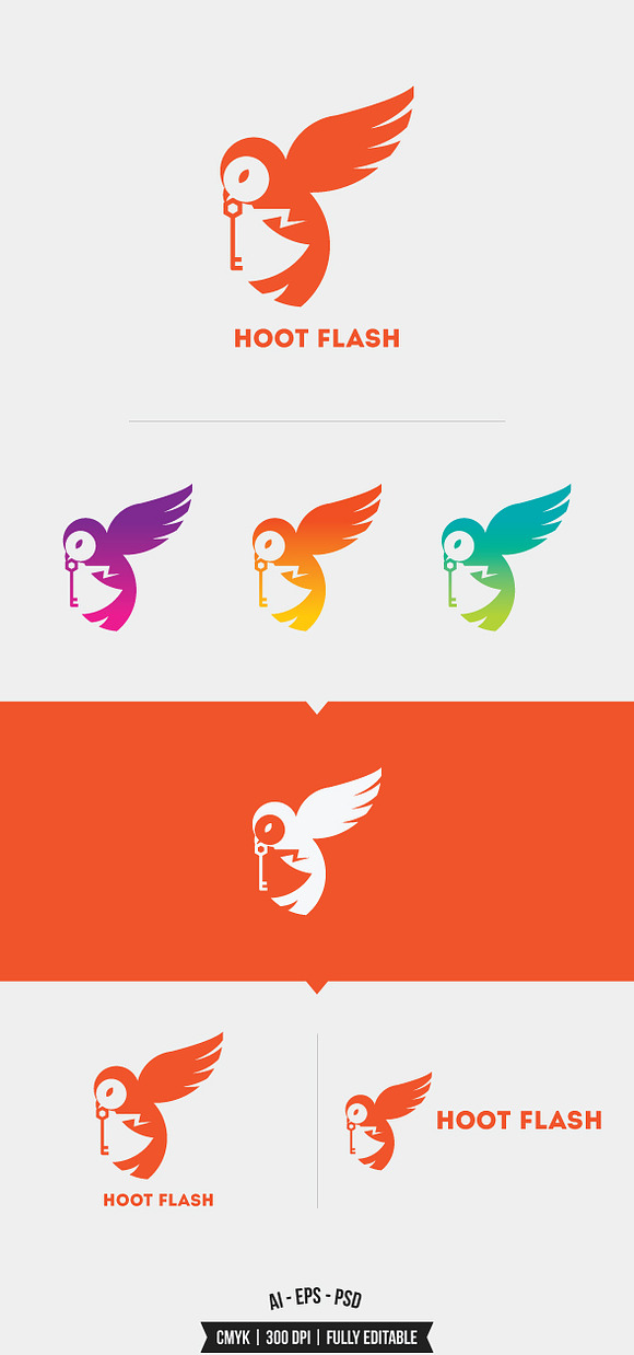 Hoot Flash Logo Template in Logo Templates - product preview 1