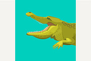 Alligator is showing his teeth