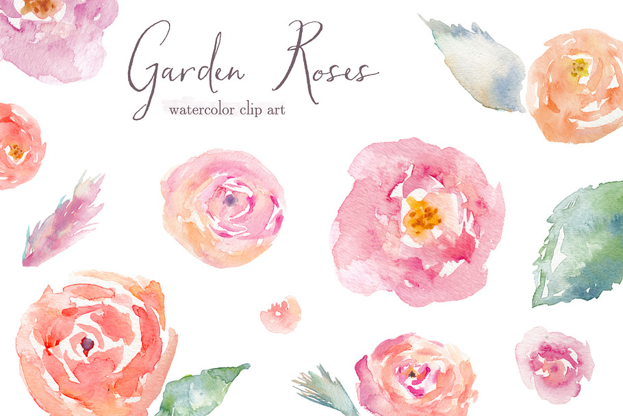 Garden Roses Watercolor Clip Art