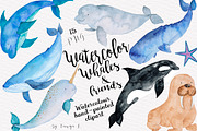 Whales Sea Nautical Watercolor set