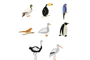 Cartoon Birds vector set