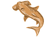 Hammerhead Shark Drawing