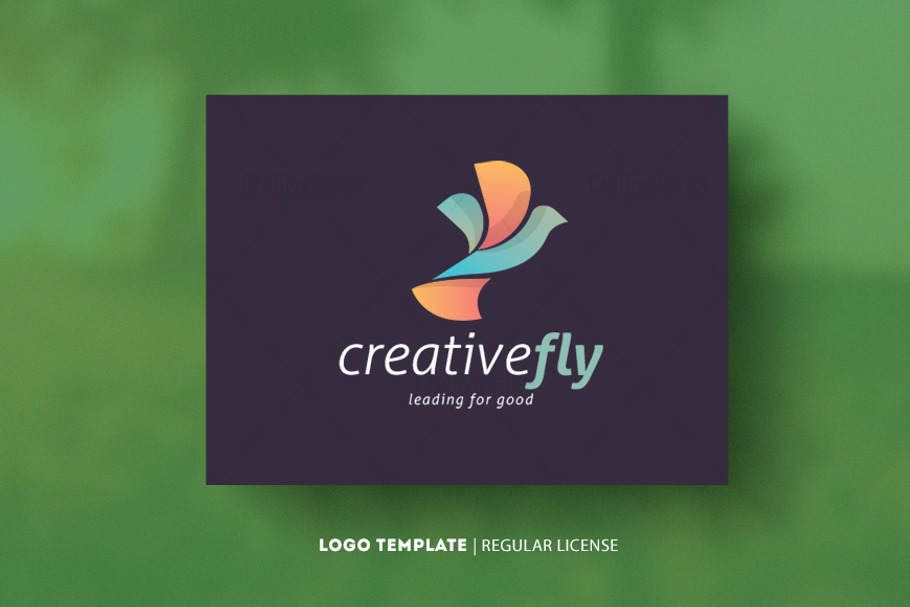 CreativeFly in Logo Templates - product preview 8