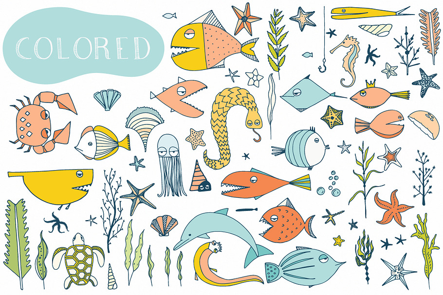 70 Hand Drawn Sea Creatures in Illustrations - product preview 8