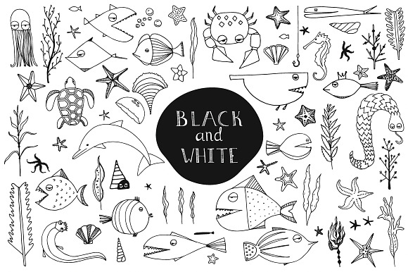 70 Hand Drawn Sea Creatures in Illustrations - product preview 2
