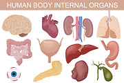 Human body internal organs set.