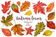 Autumn leaves part 2