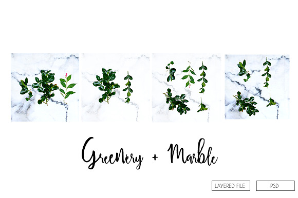 Greenery Leaf + Marble Mockup Pack in Product Mockups - product preview 5