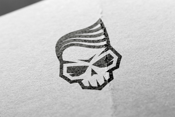 Skull With Hair (1) in Illustrations - product preview 1