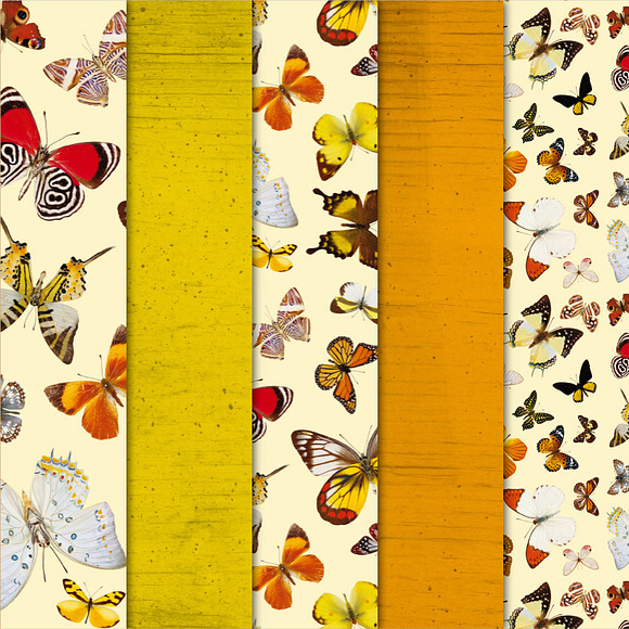 Digital Papers-Butterflies in Patterns - product preview 1