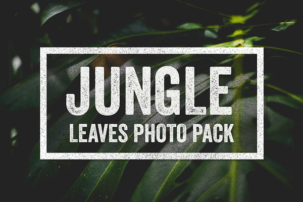 Jungle Leaves Photo Collection