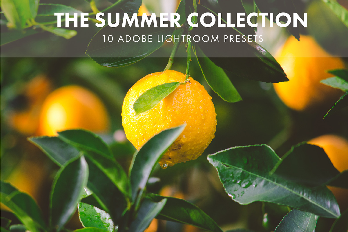 Adobe Lightroom Presets Summer in Add-Ons - product preview 8