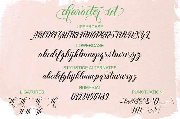 Thirteenth Script in Script Fonts - product preview 6