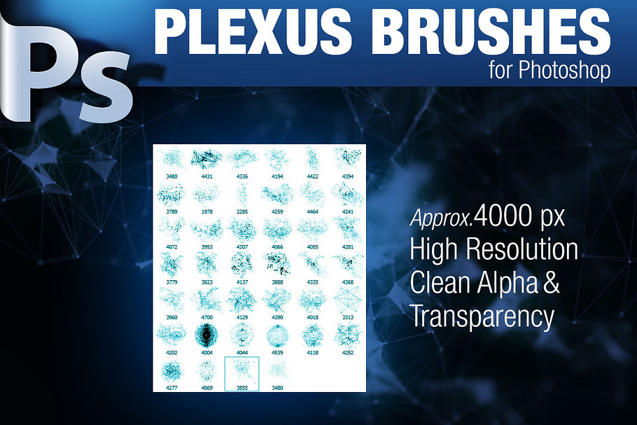 CG Plexus Brushes for Photoshop in Photoshop Brushes - product preview 8