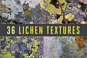 36 Lichen Textures