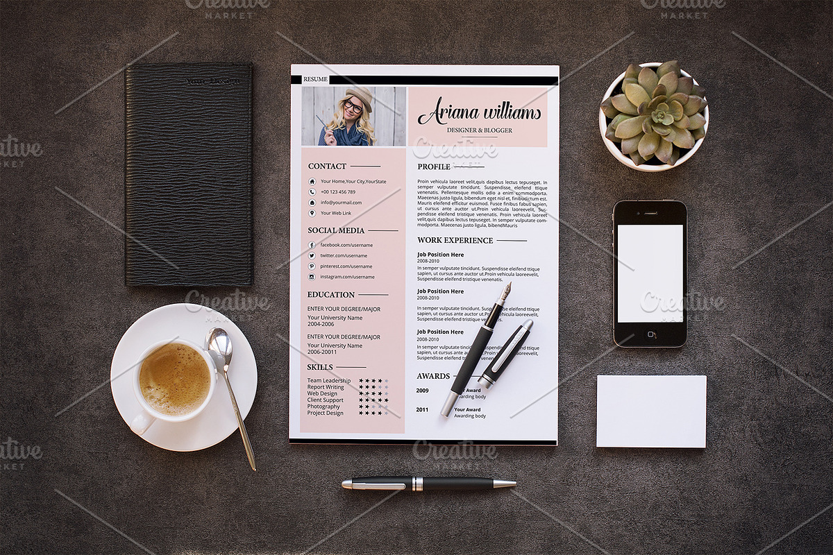 Professional Resume | CV V028 in Resume Templates - product preview 8
