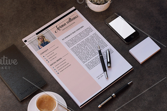 Professional Resume | CV V028 in Resume Templates - product preview 2