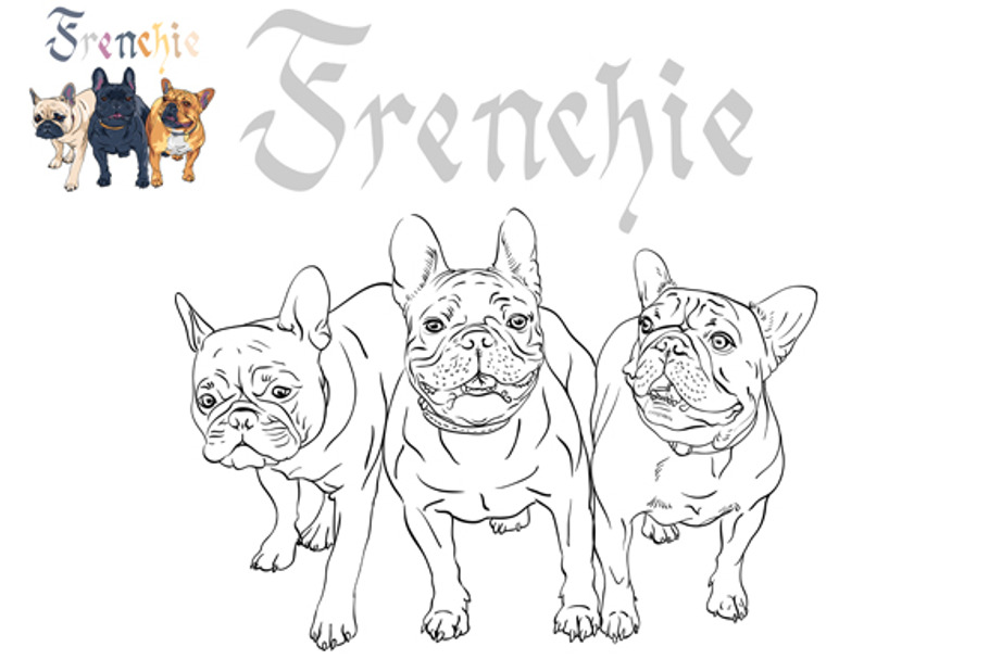 Three dogs French Bulldog  in Illustrations - product preview 8