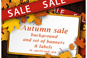 Autumn sale set with maple leaves