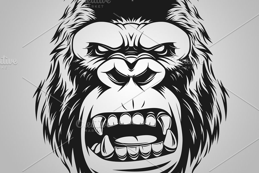 fierce gorilla head in Illustrations - product preview 8