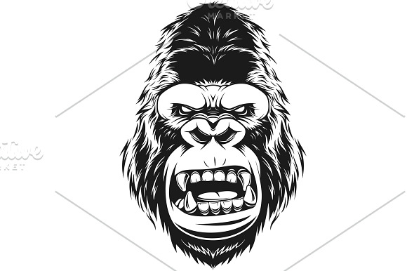 fierce gorilla head in Illustrations - product preview 1