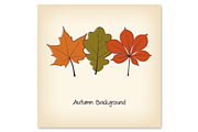 Autumn Leaves Cards