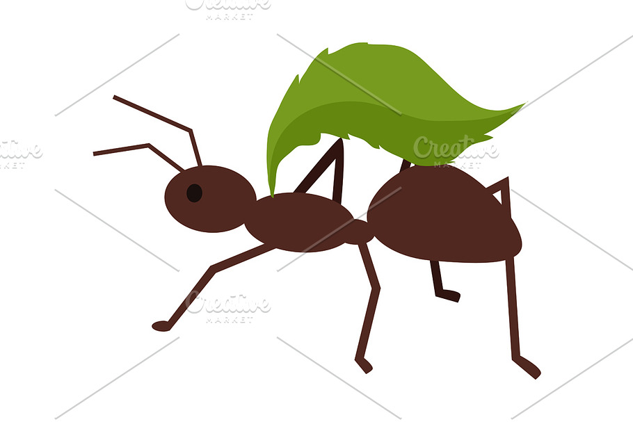 Brown Ant with Green Leaf