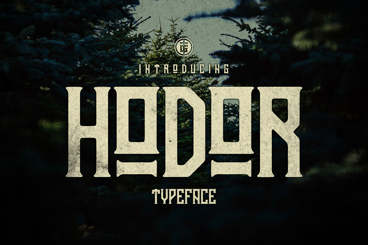 Hodor in Display Fonts - product preview 8