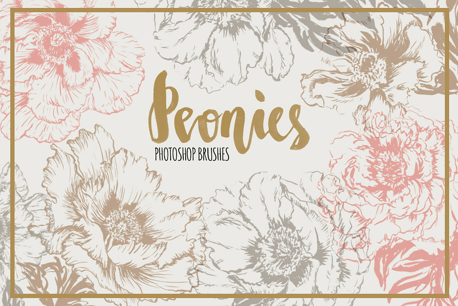 Handpainted Peony Brushes in Photoshop Brushes - product preview 8