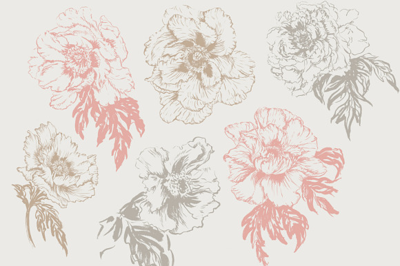 Handpainted Peony Brushes in Photoshop Brushes - product preview 1