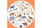 Set of World Animal Species