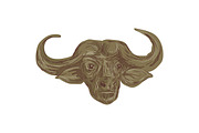 African Buffalo Head Drawing