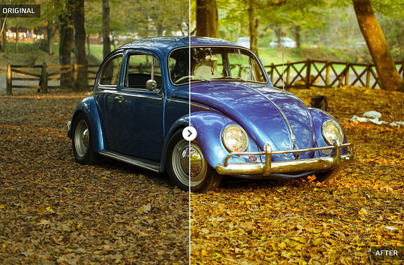 50 Autumn Lightroom Presets in Add-Ons - product preview 1