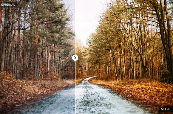 50 Autumn Lightroom Presets in Add-Ons - product preview 3