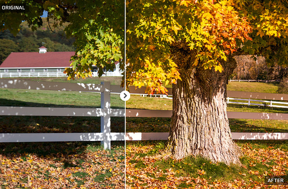 50 Autumn Lightroom Presets in Add-Ons - product preview 5