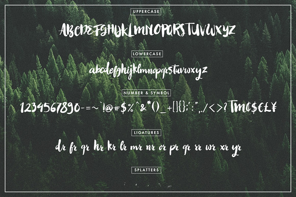 Petrichor Typeface in Script Fonts - product preview 3