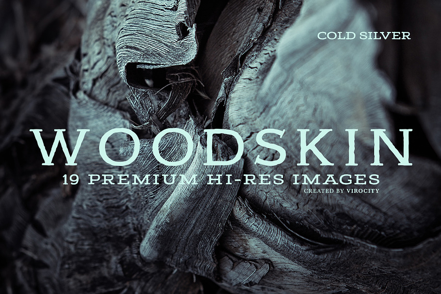 Woodskin v1 Cold Silver in Textures - product preview 8