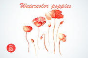 Set with watercolor poppies