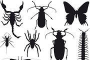 Insect Set