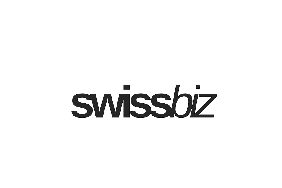 SwissBiz PowerPoint Template in PowerPoint Templates - product preview 8