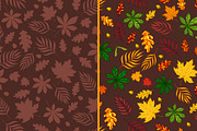 Autumn Leaves: elements and patterns