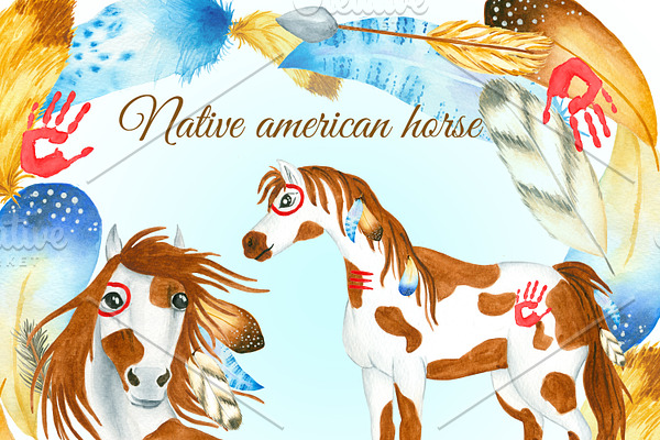 Native american horse and featers