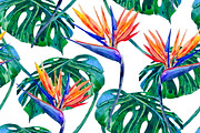 Watercolor tropical flowers pattern