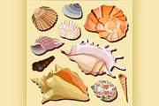  hand drawn seashell icons