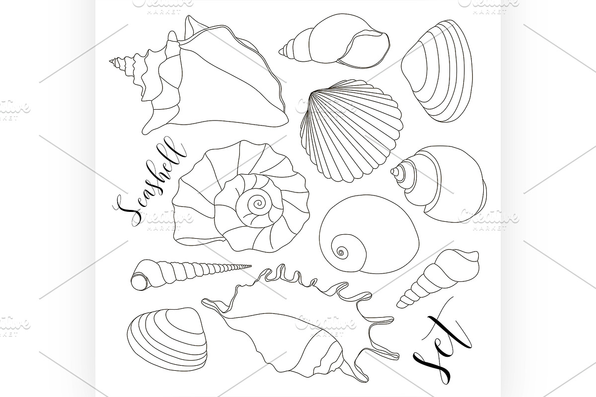 hand drawn seashell icons in Illustrations - product preview 8