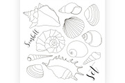 hand drawn seashell icons